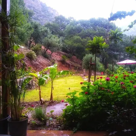 Kidrak Camping Namaste Campsite